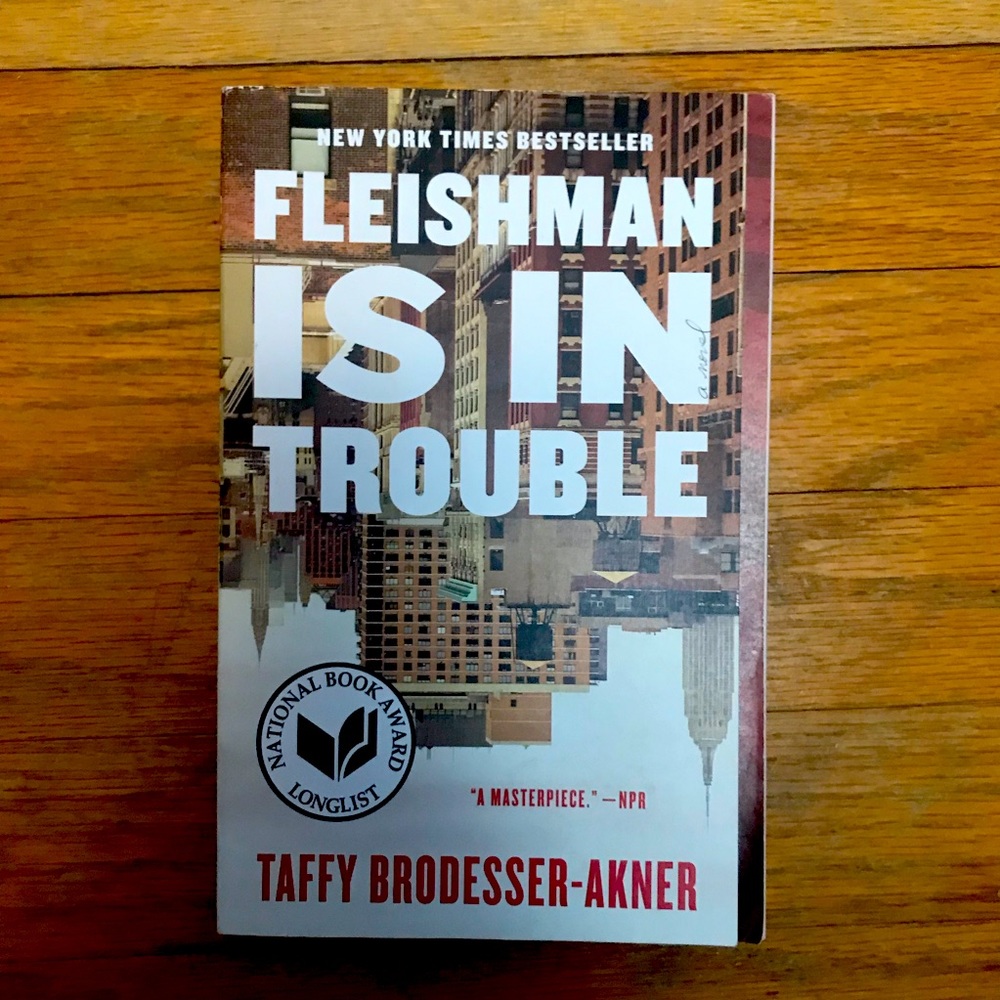 a book! Fleishman is in Trouble by Taffy Brodesser-Akner